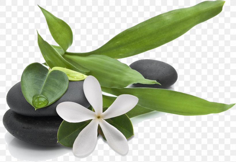 Health, Fitness And Wellness Ayurveda Therapy Medicine, PNG, 918x630px, Health Fitness And Wellness, Ayurveda, Cure, Flower, Ganzheitliche Medizin Download Free