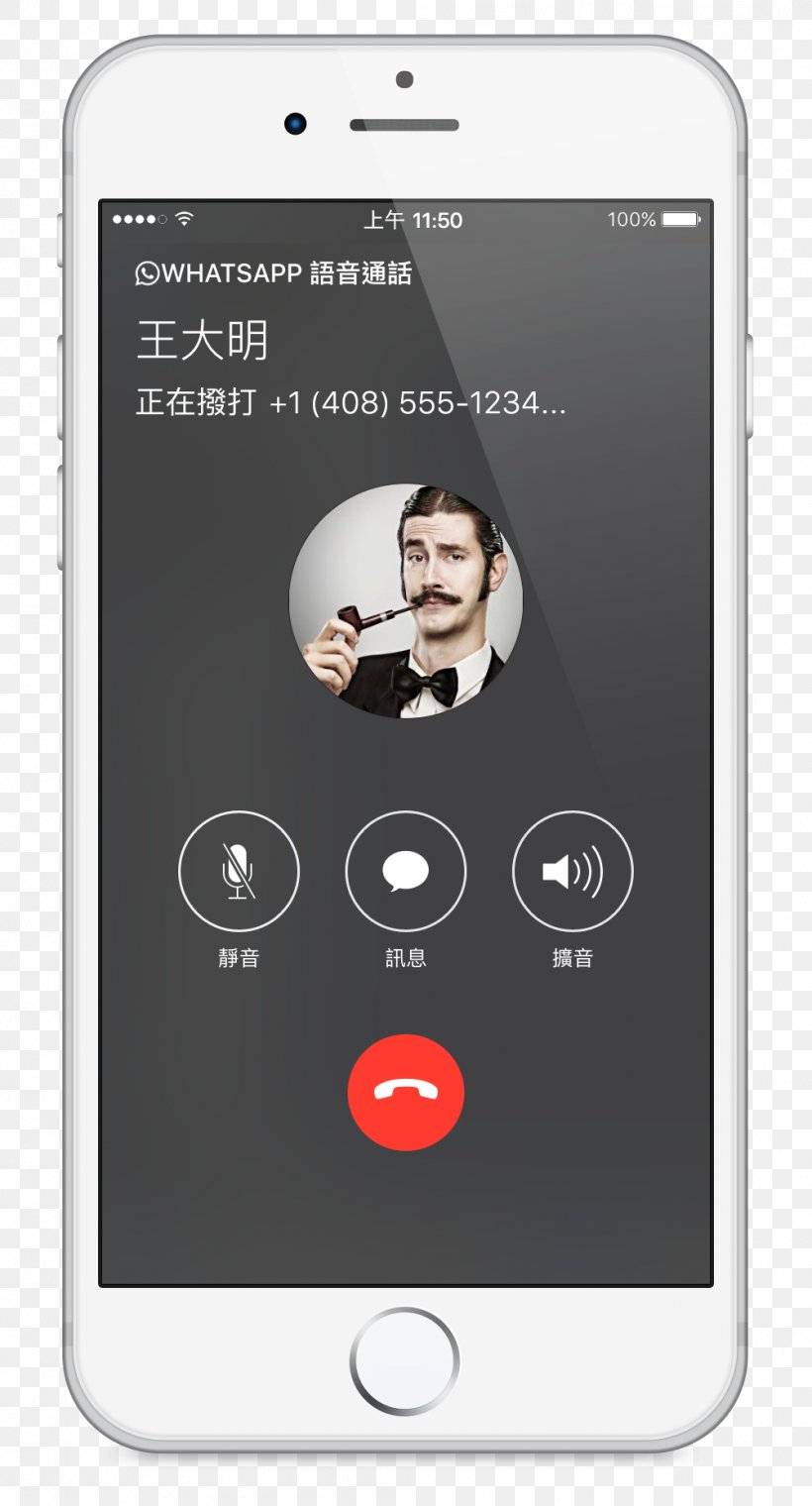IPhone X Telephone Call WhatsApp, PNG, 1002x1858px, Iphone X, App Store, Apple Watch, Cellular Network, Communication Download Free
