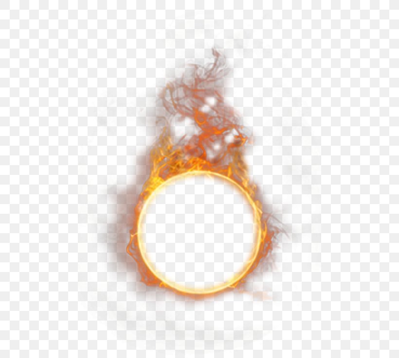 Fire Flame Combustion Light, PNG, 500x737px, Fire, Combustion, Explosion, Flame, Image Editing Download Free