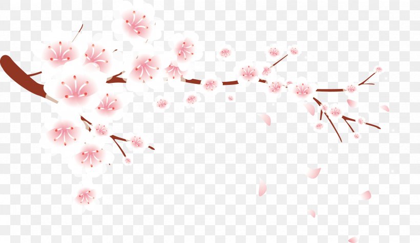 Petal Plum Blossom Flower, PNG, 2468x1431px, Petal, Blossom, Branch, Cherry Blossom, Cherry Plum Download Free