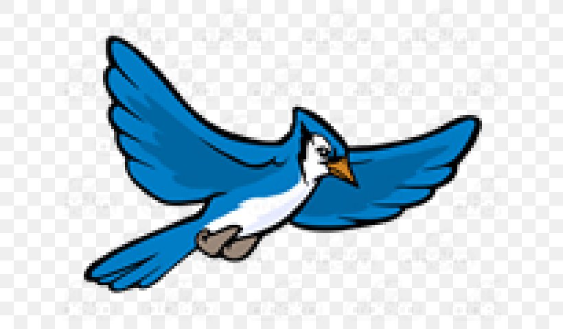 Blue Jay Clip Art Illustration Vector Graphics, PNG, 640x480px, Blue Jay, Beak, Bird, Blue, Bluebird Download Free