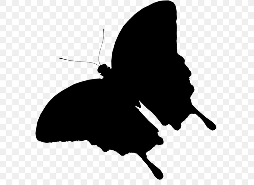 Clip Art Silhouette Black M, PNG, 593x598px, Silhouette, Black, Black M, Blackandwhite, Butterfly Download Free