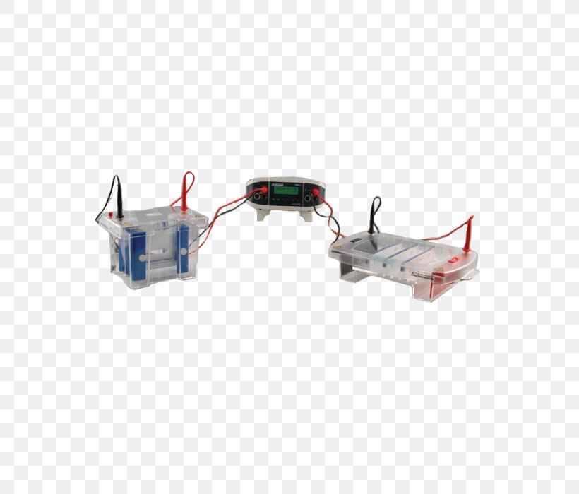 RNA Electronics Blot DNA Electrophoresis, PNG, 600x700px, Rna, Blot, Dna, Electronic Component, Electronics Download Free