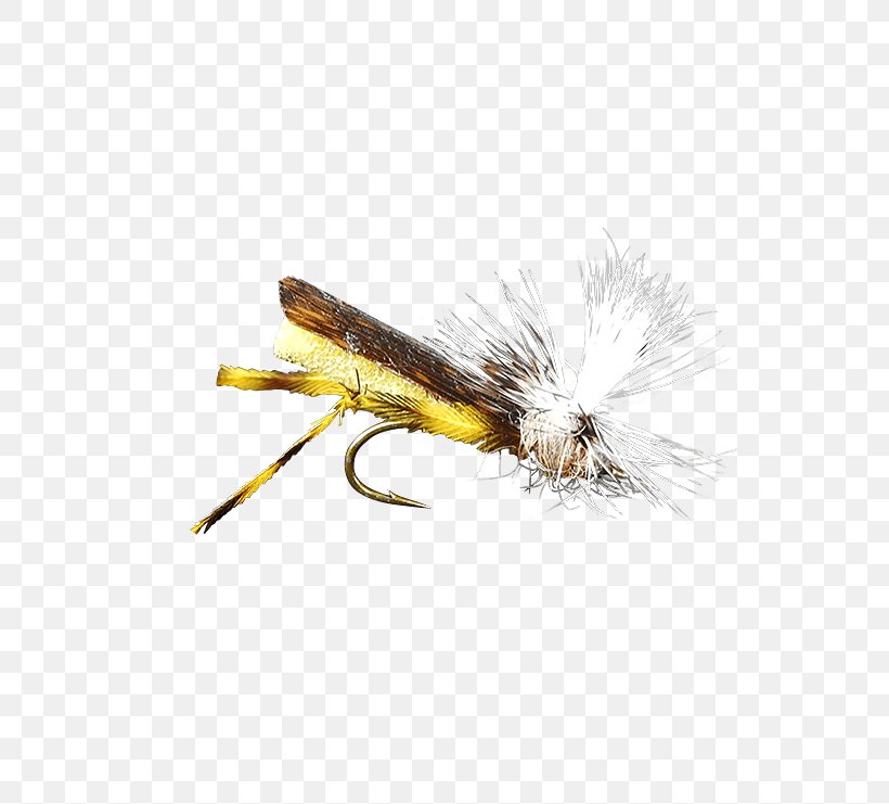 Artificial Fly Hackles Insect Holly Flies, PNG, 555x741px, Artificial Fly, B H Photo Video, Donkey Stone, Fishing Bait, Fishing Lure Download Free