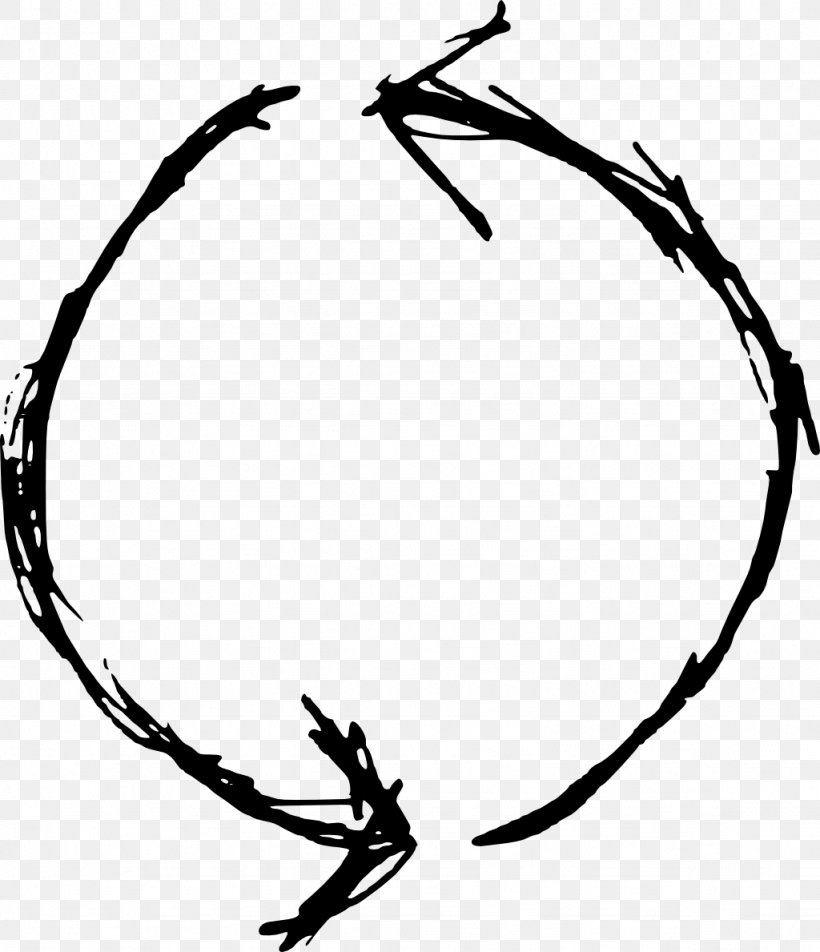 Circle Drawing Clip Art, PNG, 1024x1189px, Drawing, Artwork, Black And White, Branch, Information Download Free
