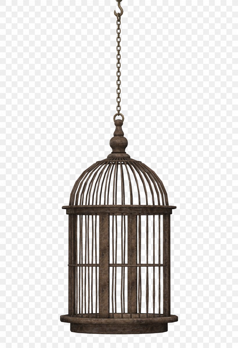 Birdcage Domestic Canary, PNG, 2000x2922px, Bird, Birdcage, Cage, Ceiling Fixture, Light Fixture Download Free