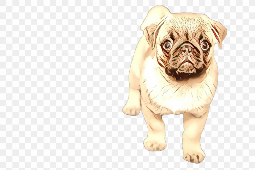 Dog Pug Snout Companion Dog Puppy, PNG, 2448x1632px, Dog, Companion Dog, Pug, Puppy, Snout Download Free