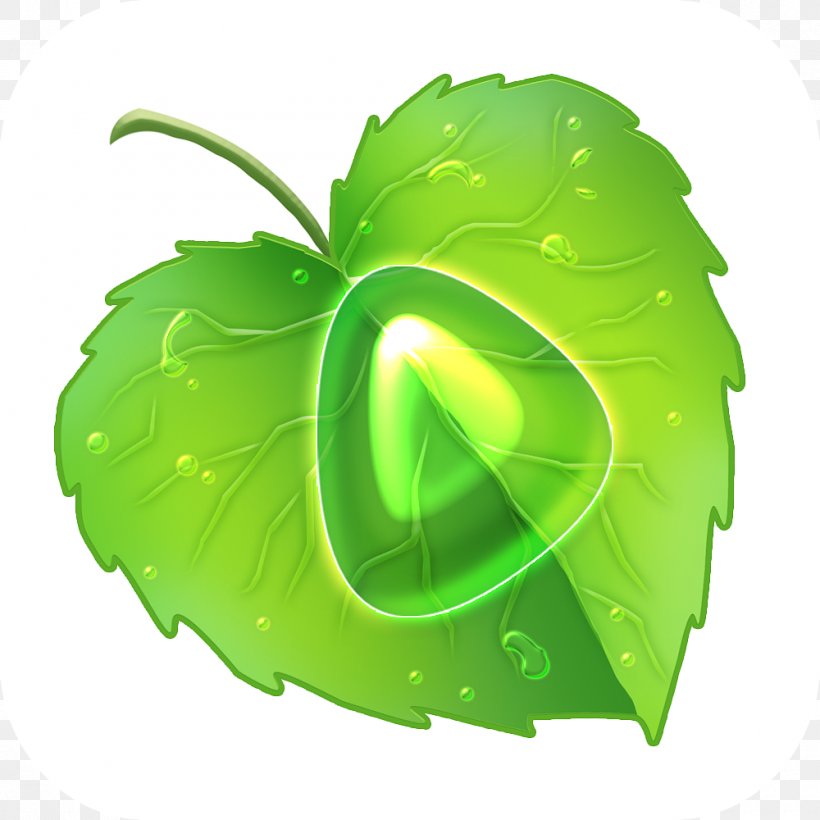 Leaf Greens Product Design, PNG, 1000x1000px, Leaf, Green, Greens, Leaf Vegetable Download Free