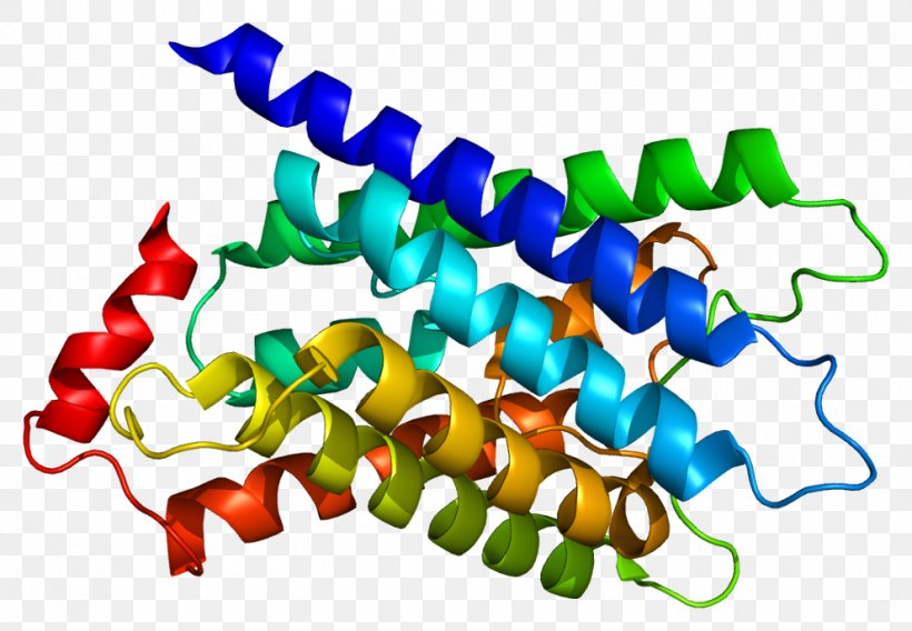 MIP Wikipedia HUGO Gene Nomenclature Committee Major Intrinsic Proteins Encyclopedia, PNG, 992x688px, Mip, Aquaporin, Artwork, Ccbysa, Dictionary Download Free