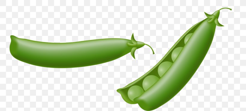Pea Drawing Illustration, PNG, 800x371px, Pea, Bell Peppers And Chili Peppers, Chili Pepper, Commodity, Drawing Download Free