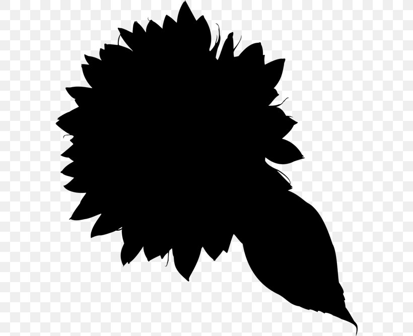 Clip Art Transparency Illustration Image, PNG, 600x667px, Common Sunflower, Art, Black, Blackandwhite, Drawing Download Free