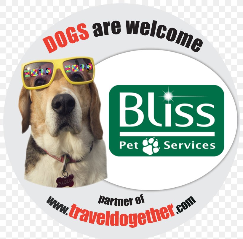 Dog Breed Puppy Bliss Pet Services S.r.l., PNG, 805x805px, Dog Breed, Brand, Brazil, Breed, Dog Download Free