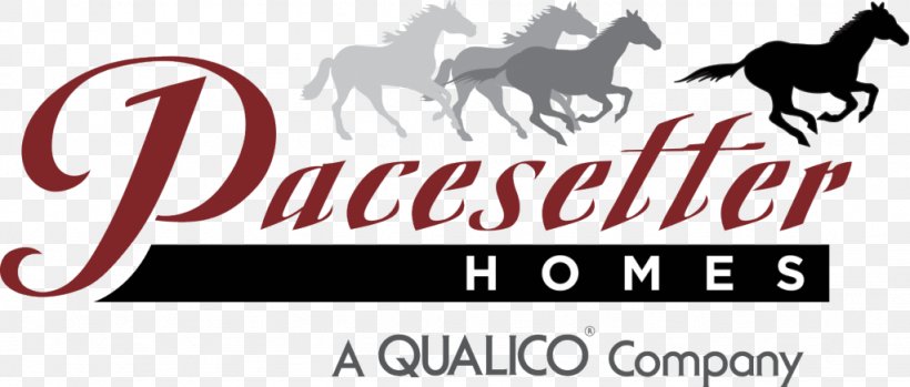Logo Pacesetter Homes Ltd House Business, PNG, 1024x437px, Logo, Brand, Bungalow, Business, Duplex Download Free