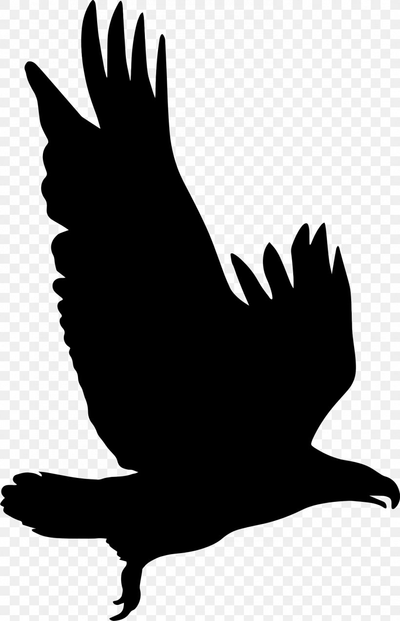 Silhouette Eagle Clip Art, PNG, 1491x2314px, Silhouette, Animal, Beak, Bird, Black And White Download Free