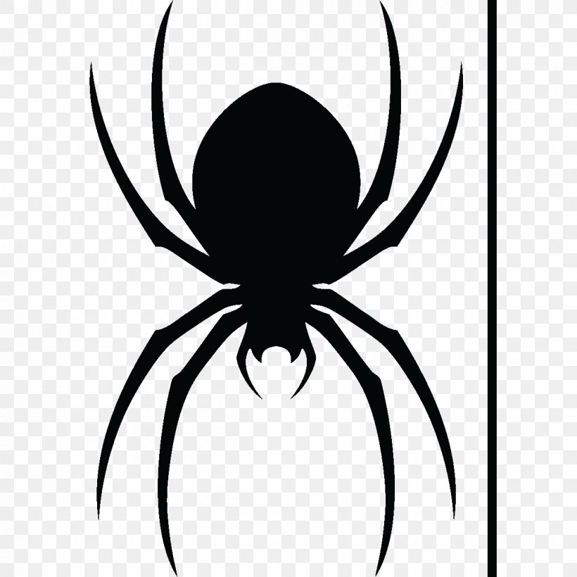 Spider Line Art Drawing Photography, PNG, 1200x1200px, Spider, Animal, Arachnid, Arthropod, Artwork Download Free