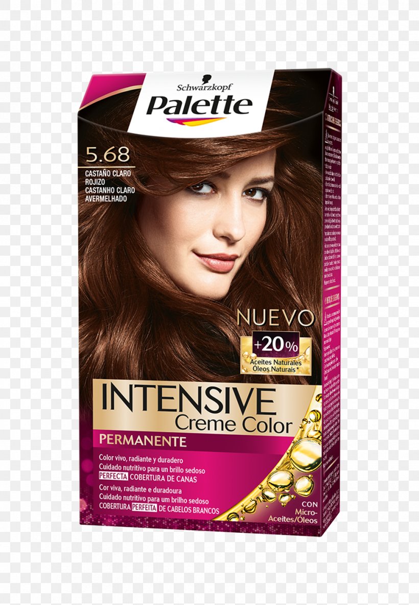 Chestnut Schwarzkopf Mahogany Hair Permanents & Straighteners Pigment, PNG, 970x1400px, Chestnut, Black Hair, Blond, Brown Hair, Canities Download Free