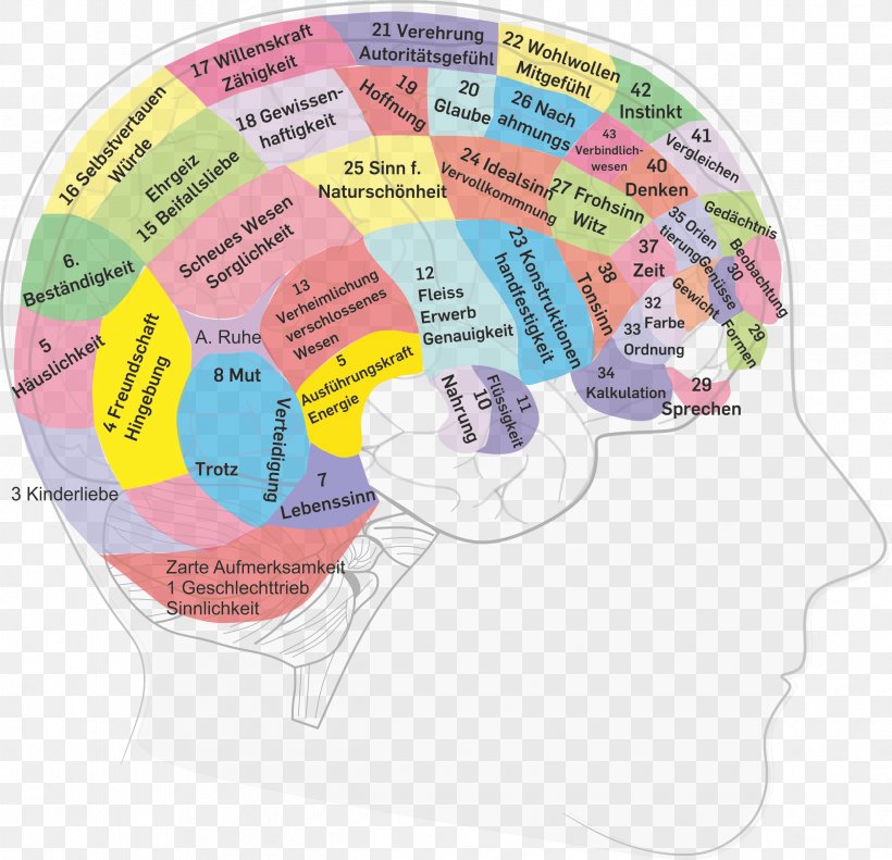 Agy Nervous System Health Lobes Of The Brain, PNG, 2427x2344px, Agy, Aneurysm, Body, Brain, Brainstem Download Free