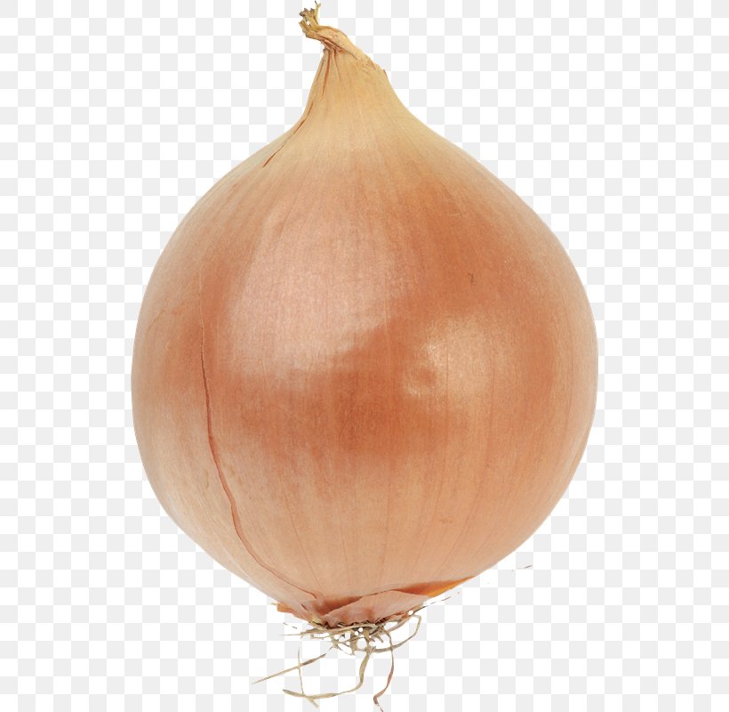 Bulb Onions Bulb Onions Vegetable Red Onion, PNG, 526x800px, Onion, Allium, Allium Fistulosum, Bulb, Food Download Free