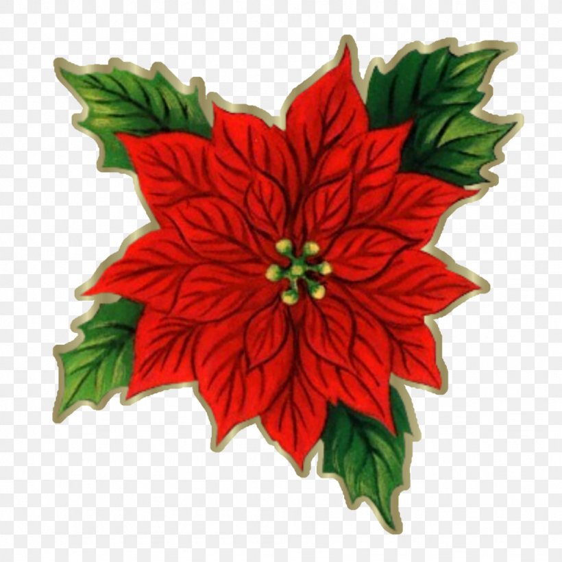 Christmas Santa Claus Clip Art, PNG, 1024x1024px, Christmas, Christmas Decoration, Christmas Ornament, Christmas Tree, Chrysanths Download Free