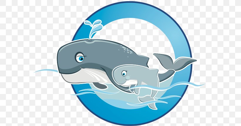 Dolphin Shark Porpoise Marine Biology Clip Art, PNG, 593x429px, Dolphin, Biology, Blue, Cartilaginous Fish, Cetacea Download Free