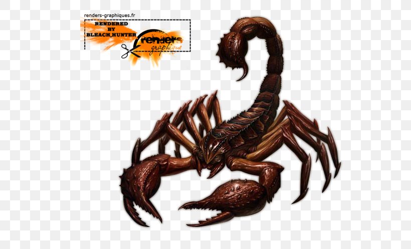 Scorpion Arachnid Tattoo, PNG, 559x497px, Scorpion, Animal Source Foods, Arachnid, Art, Arthropod Download Free