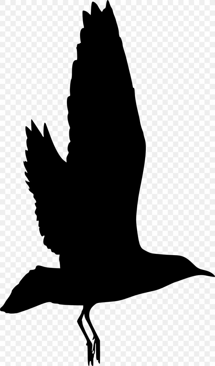 Bird Silhouette Clip Art, PNG, 1174x2000px, Bird, Beak, Black And White, Ducks Geese And Swans, Fauna Download Free