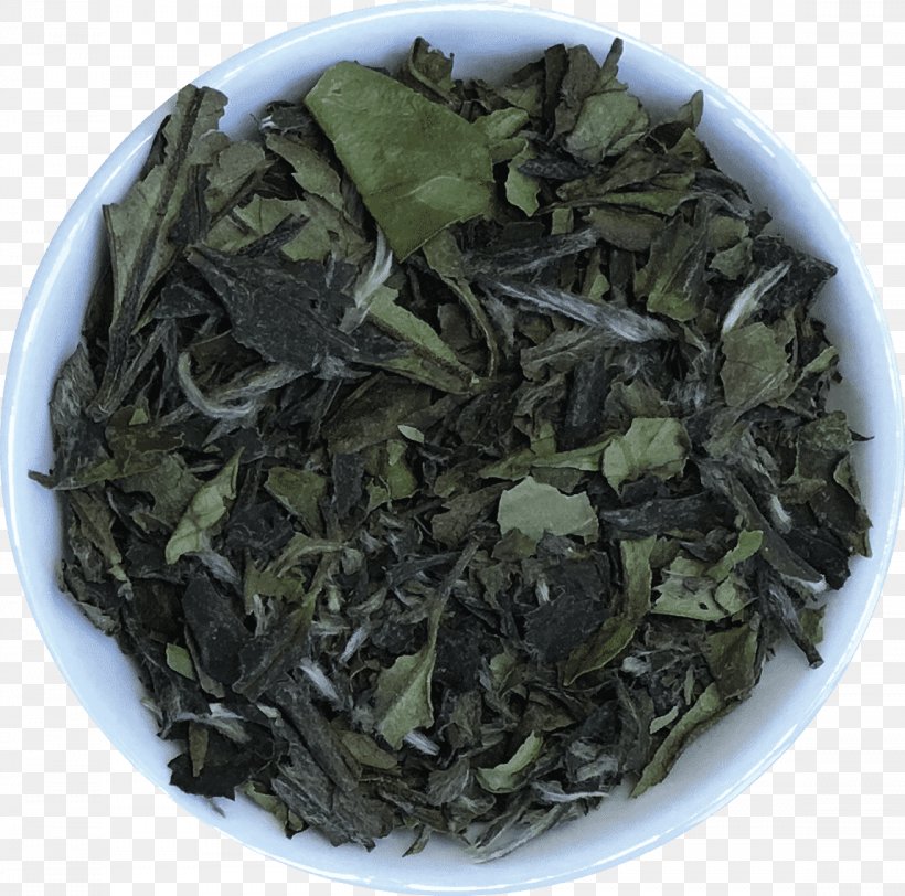 Gyokuro Nilgiri Tea Oolong Darjeeling White Tea, PNG, 1148x1138px, Gyokuro, Assam Tea, Bai Mudan, Bancha, Biluochun Download Free