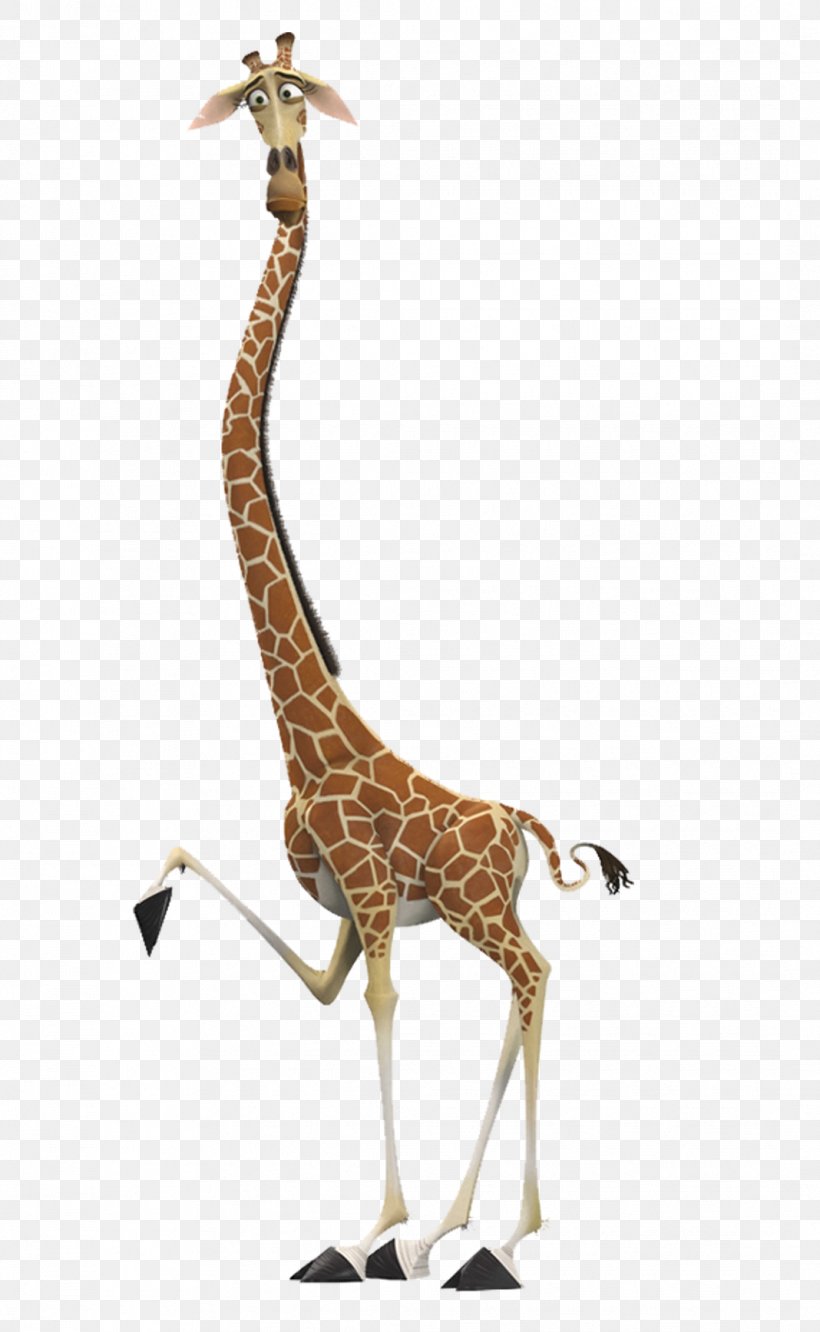 Melman Gloria Alex Giraffe Madagascar, PNG, 1068x1736px, Melman, Alex, Animal Figure, Animation, David Schwimmer Download Free