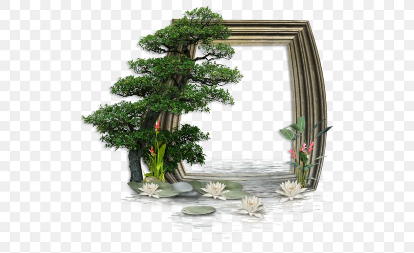 Picture Frames Painting Spanish Idea, PNG, 500x502px, Picture Frames, Bonsai, Evergreen, Film Frame, Flowerpot Download Free