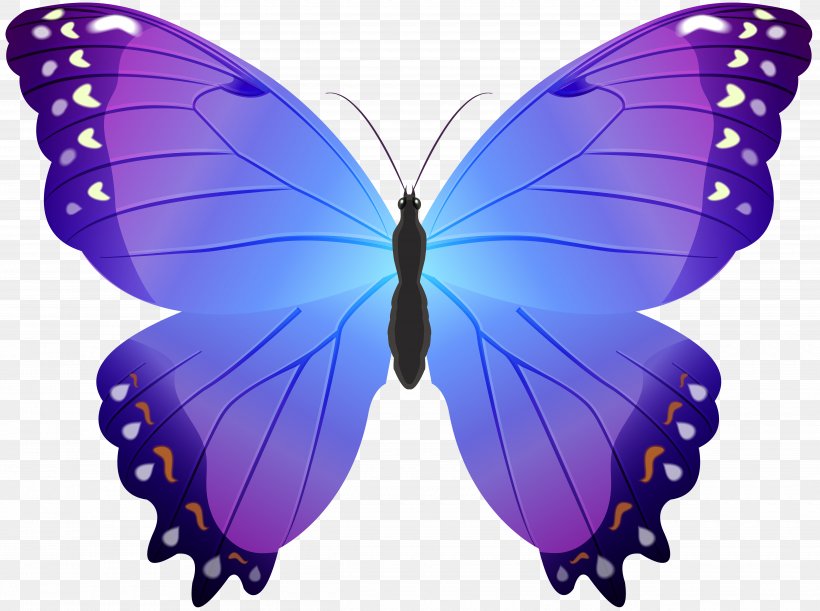 Butterfly Clip Art, PNG, 5000x3726px, Butterfly, Art, Arthropod, Blue, Brush Footed Butterfly Download Free