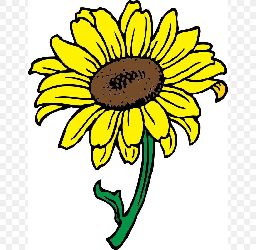 Common Sunflower Free Content Clip Art, PNG, 640x800px, Common Sunflower, Artwork, Black And White, Blog, Chrysanths Download Free
