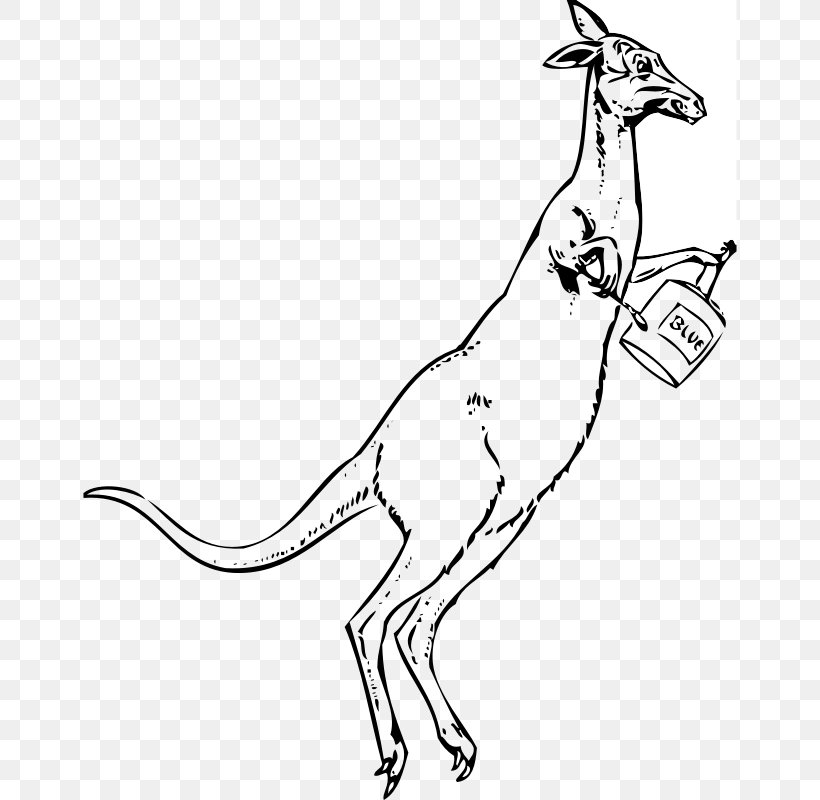 Kangaroo Cartoon Drawing Clip Art, PNG, 800x800px, Kangaroo, Animal Figure, Arm, Artwork, Black And White Download Free