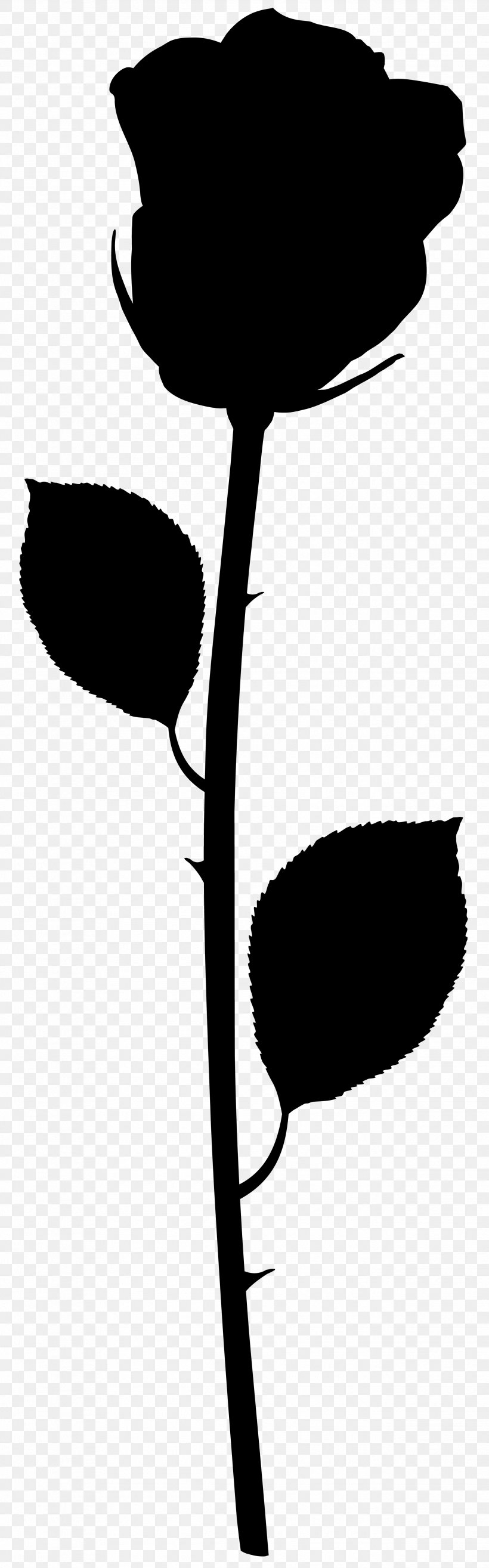 Leaf Clip Art Plant Stem Silhouette Flowering Plant, PNG, 2494x8000px, Leaf, Black M, Botany, Branching, Flower Download Free