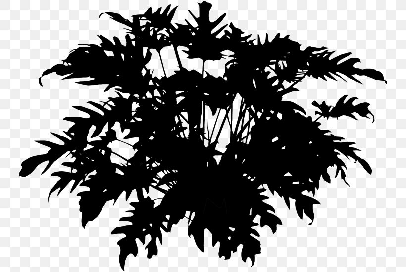 Palm Trees Houseplant Desktop Wallpaper Computer Silhouette, PNG, 748x550px, Palm Trees, Arecales, Blackandwhite, Botany, Branch Download Free