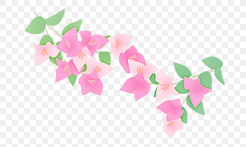 Pink Petal Flower Plant Bougainvillea, PNG, 700x490px, Pink, Bougainvillea, Flower, Petal, Plant Download Free