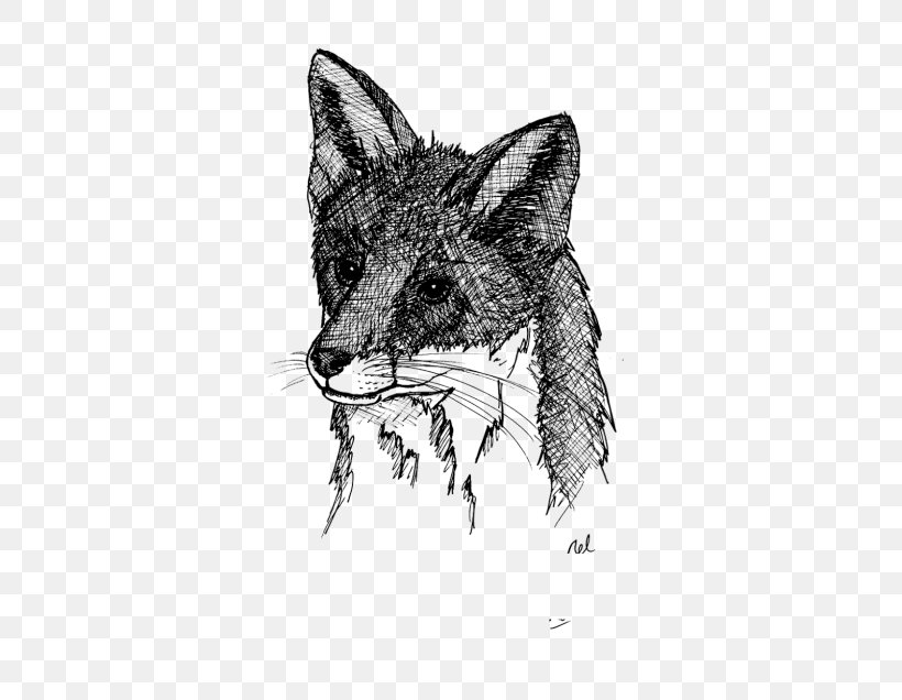 Red Fox Coyote ADP Analyse Design Planung Jackal, PNG, 685x636px, Red Fox, Black And White, Carnivoran, Coyote, Dog Like Mammal Download Free