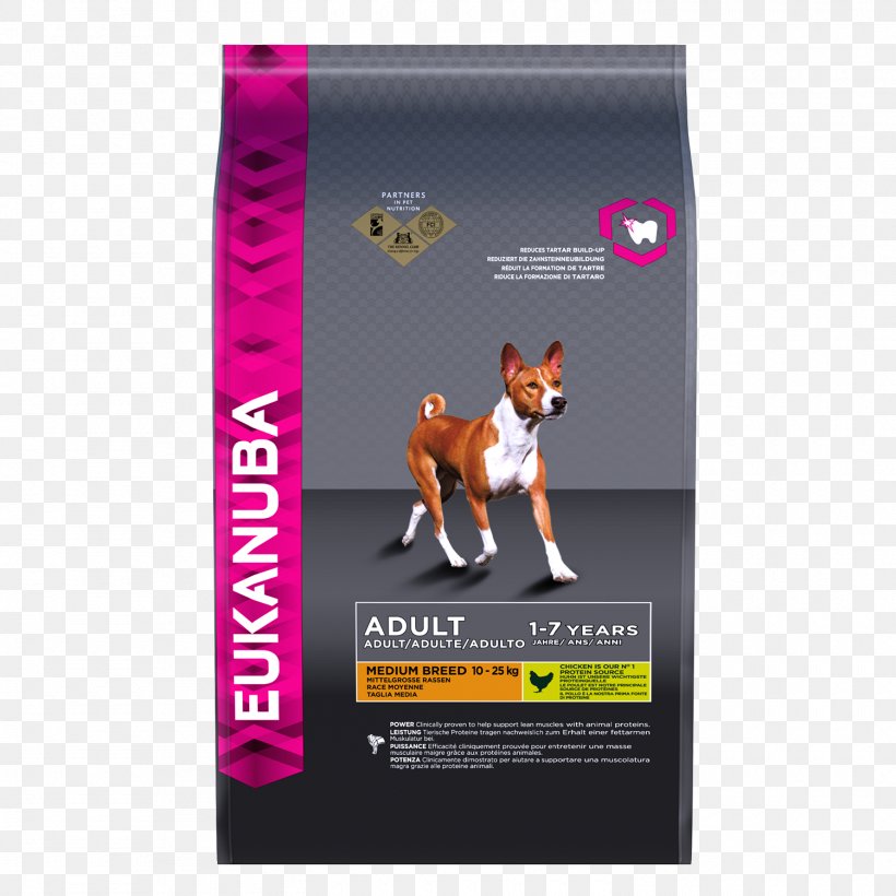Rough Collie Puppy Eukanuba Dog Food Pet, PNG, 1500x1500px, Rough Collie, Advertising, Brand, Breed, Chicken As Food Download Free