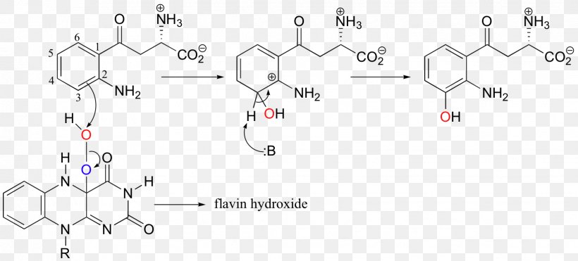 Antidepressant Fructose Chemistry Chemical Formula Fluoxetine, PNG, 1632x740px, Watercolor, Cartoon, Flower, Frame, Heart Download Free