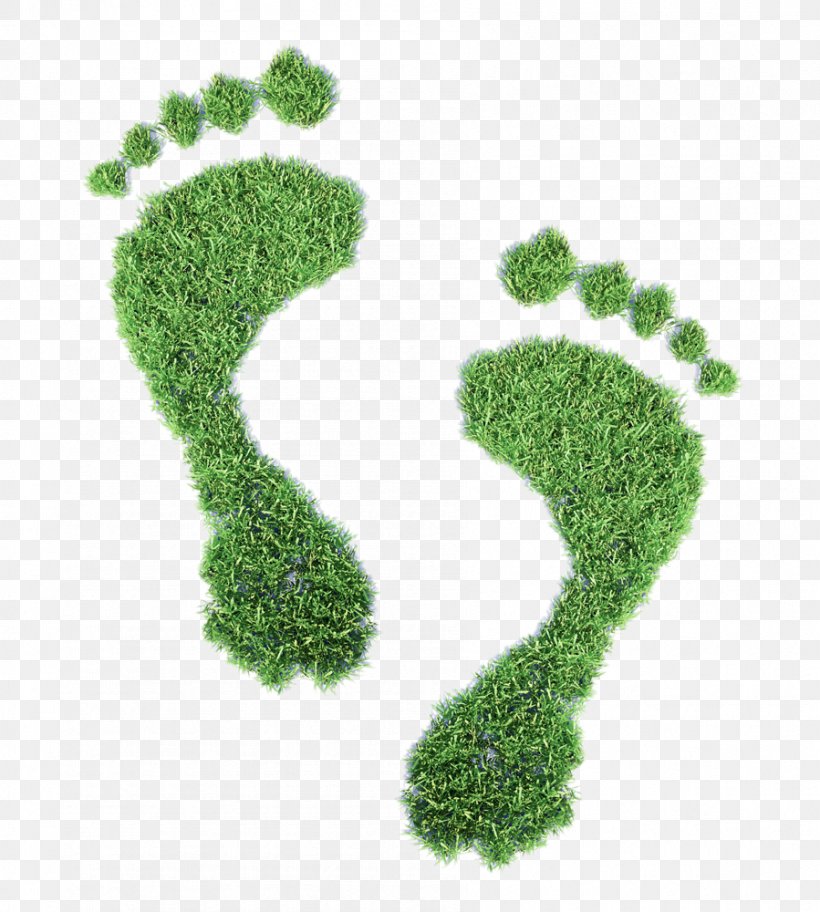 Ecological Footprint Ecology Carbon Footprint Concept Illustration, PNG, 899x1000px, Ecological Footprint, Carbon Footprint, Concept, Dna Profiling, Ecology Download Free