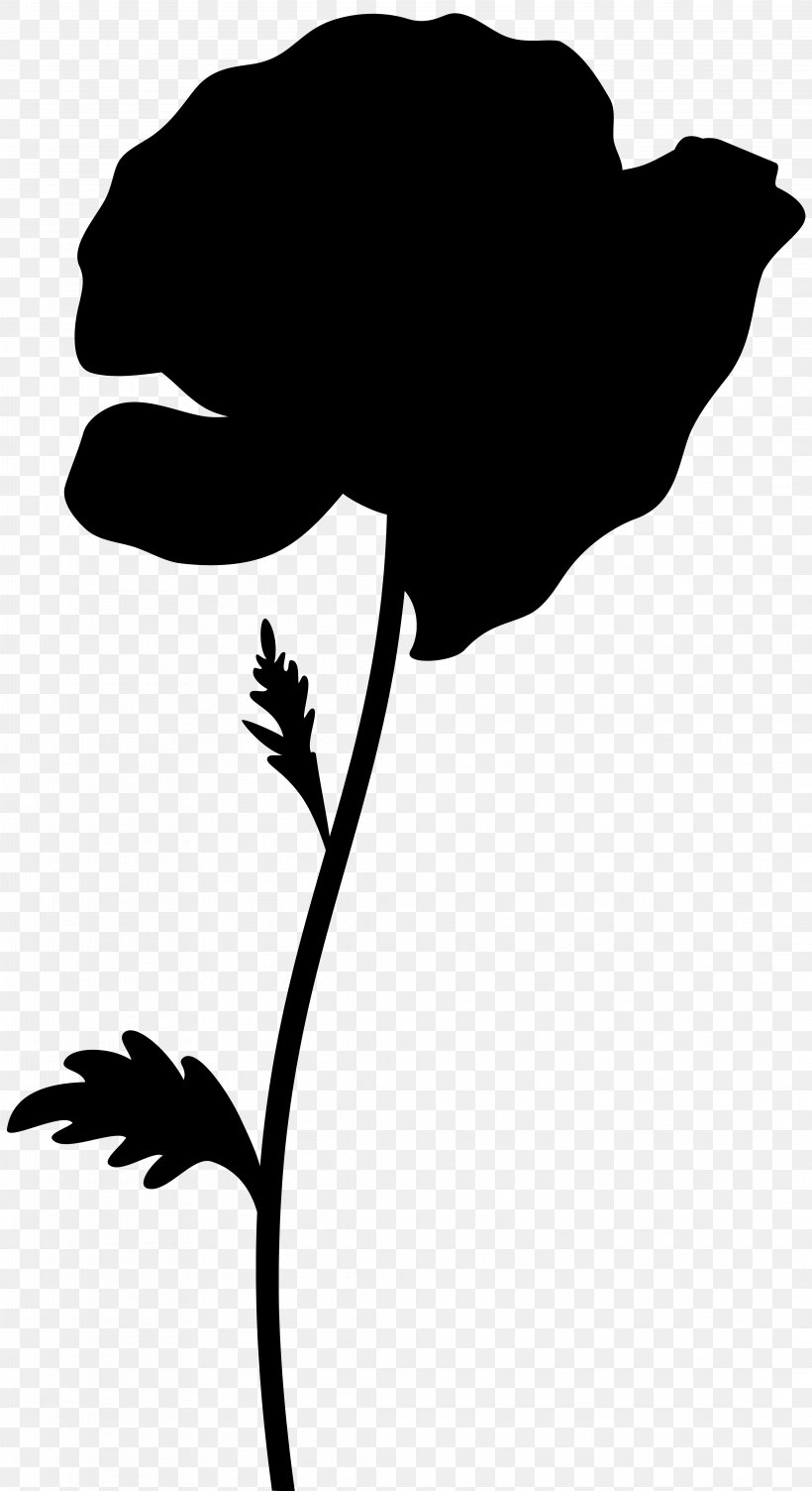 Flower Clip Art Leaf Plant Stem Silhouette, PNG, 4359x8000px, Flower, Blackandwhite, Botany, Branching, Flowering Plant Download Free
