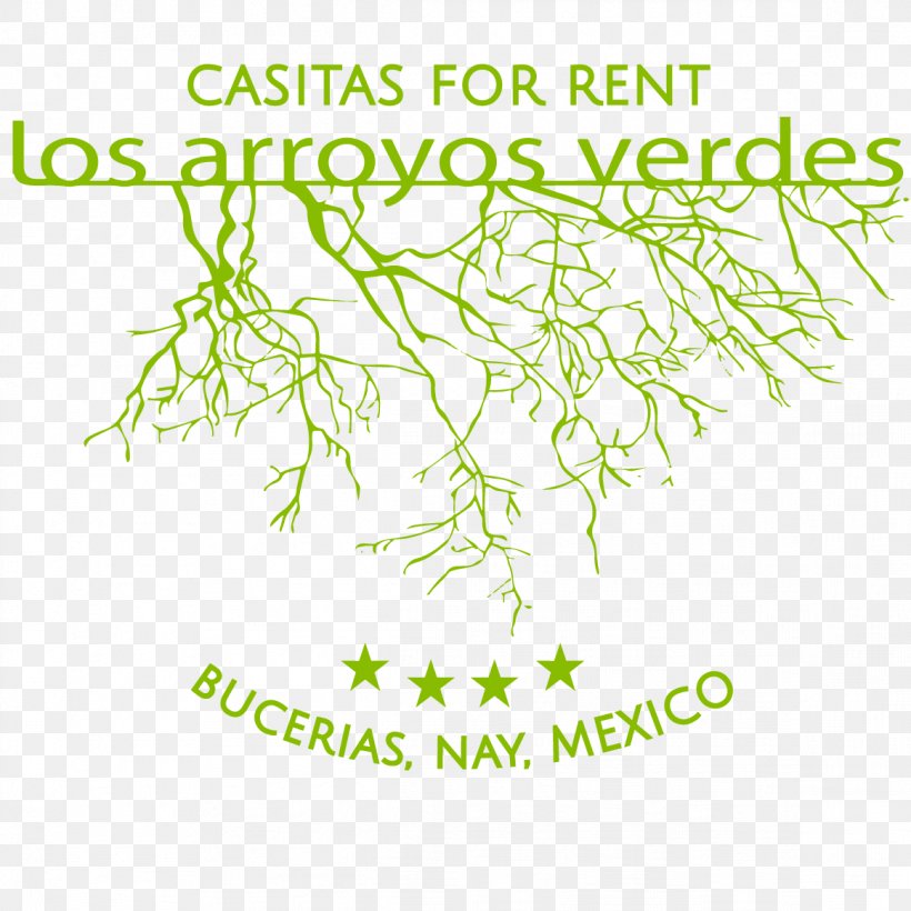 Los Arroyos Verdes Bucerías, Nayarit Meter Botany Plant Stem, PNG, 1163x1163px, Meter, Area, Botanical Garden, Botany, Branch Download Free
