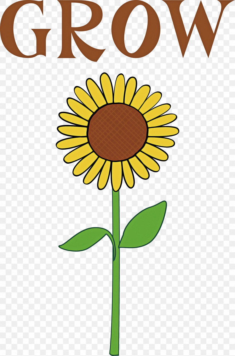 GROW Flower, PNG, 1980x3000px, Grow, Cut Flowers, Daisy Family, Flower, Happiness Download Free