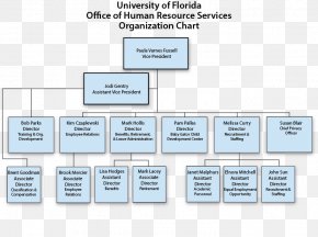 Human Services Organizational Chart