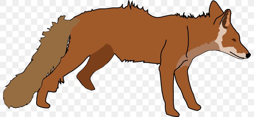 Red Fox Clip Art, PNG, 800x378px, Red Fox, Carnivoran, Dog Like Mammal, Drawing, Fauna Download Free