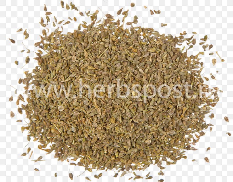 Spice Herb Star Anise Seed, PNG, 1024x800px, Spice, Allspice, Anise, Cereal Germ, Commodity Download Free