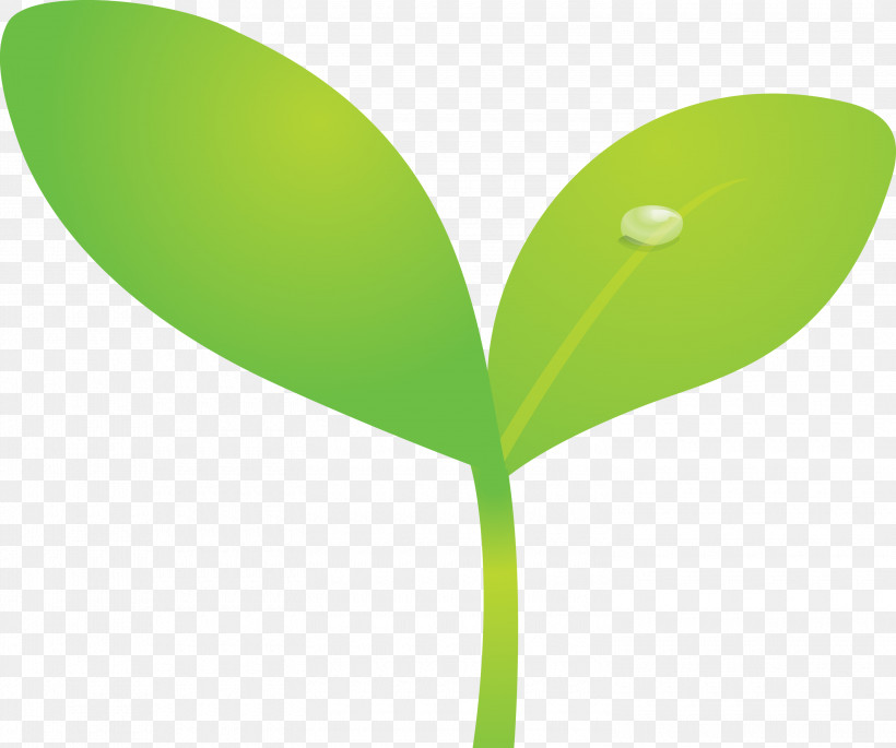 Sprout Bud Seed, PNG, 3000x2509px, Sprout, Bud, Flower, Flush, Grass Download Free