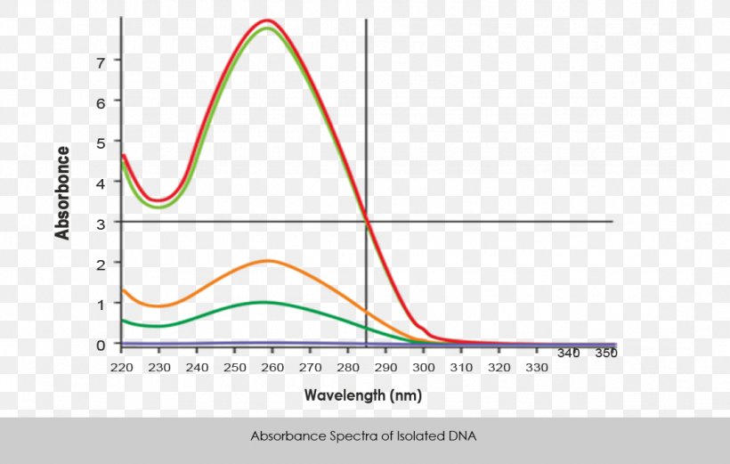 DNA Extraction Gcc Library Genome Genomic DNA Database, PNG, 1081x687px, Dna Extraction, Area, Bacteria, Cell, Database Download Free