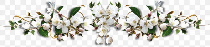 Pakistan, PNG, 3083x703px, Pakistan, Body Jewelry, Branch, Commodity, Cut Flowers Download Free