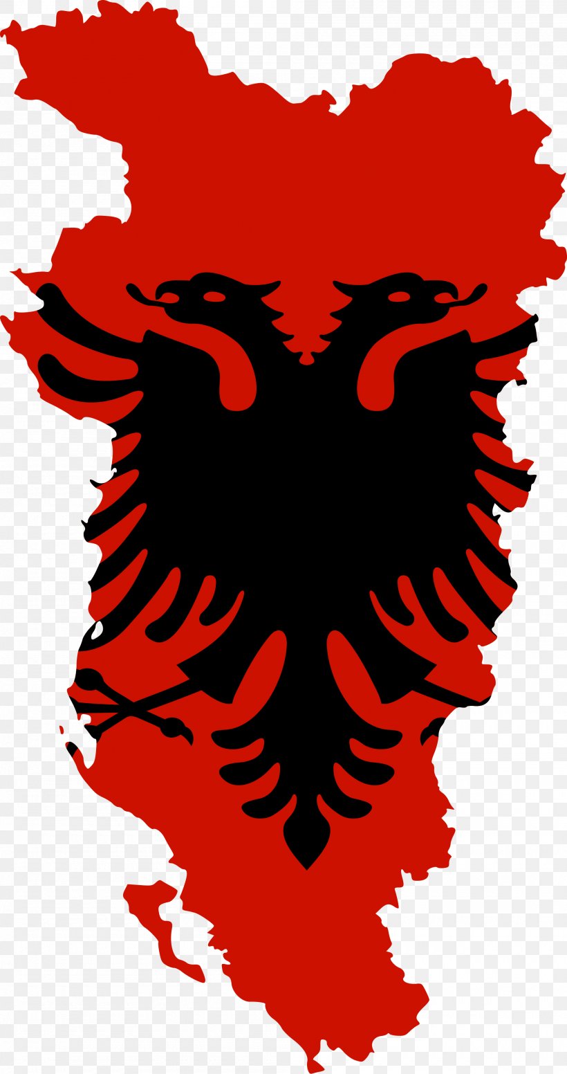 Flag Of Albania Tirana Coat Of Arms Of Albania Albanian Republic, PNG, 2000x3787px, Watercolor, Cartoon, Flower, Frame, Heart Download Free