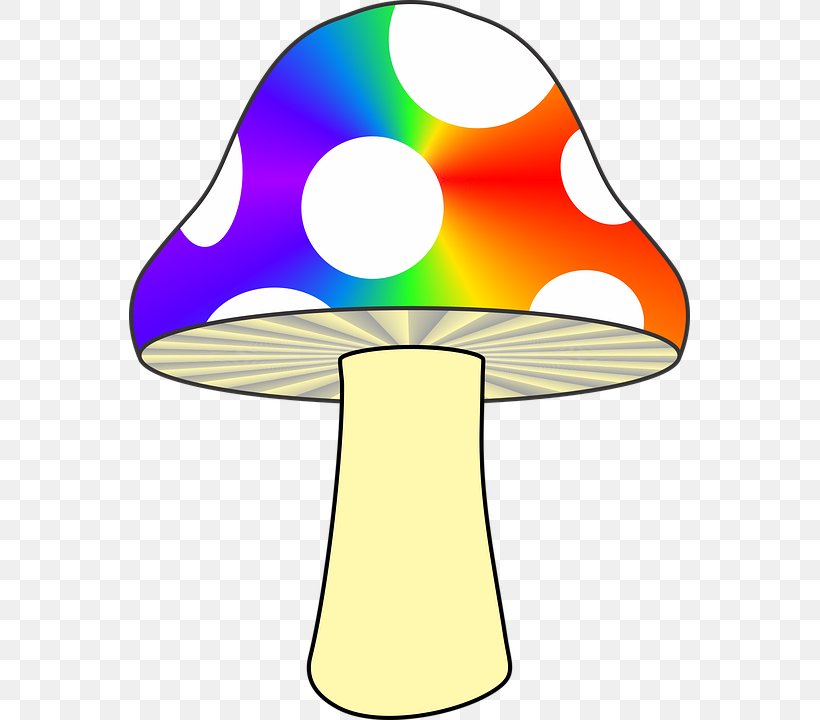 Mushroom Hunting Fungus Clip Art, PNG, 561x720px, Mushroom, Agaric, Amanita Muscaria, Artwork, Common Mushroom Download Free